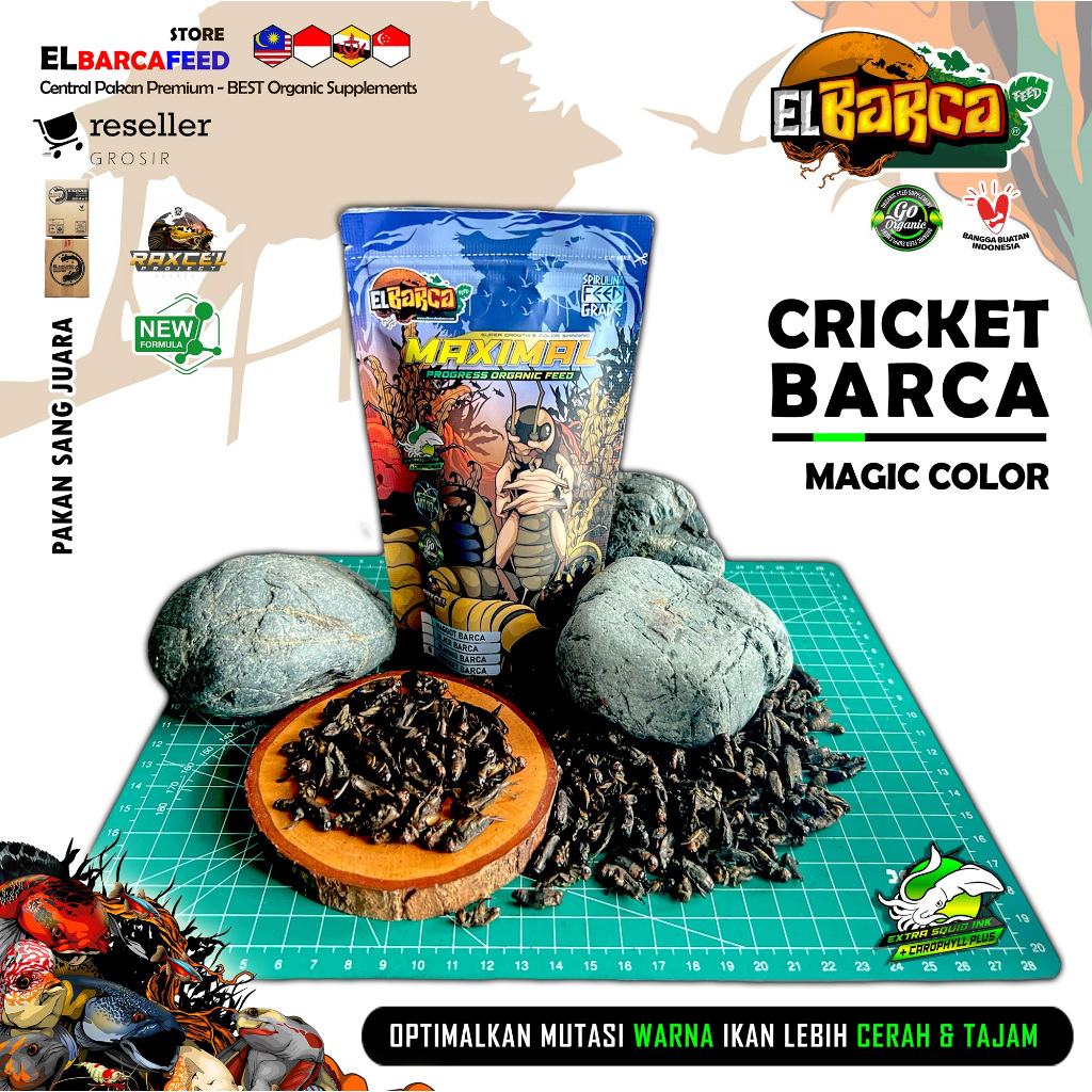 CRICKET BARCA pakan pelet ikan channa predator reptile Jangkrik Kering Xtra Spirulina feed grade