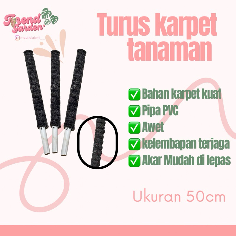 Turus Karpet tanaman rambat 50cm