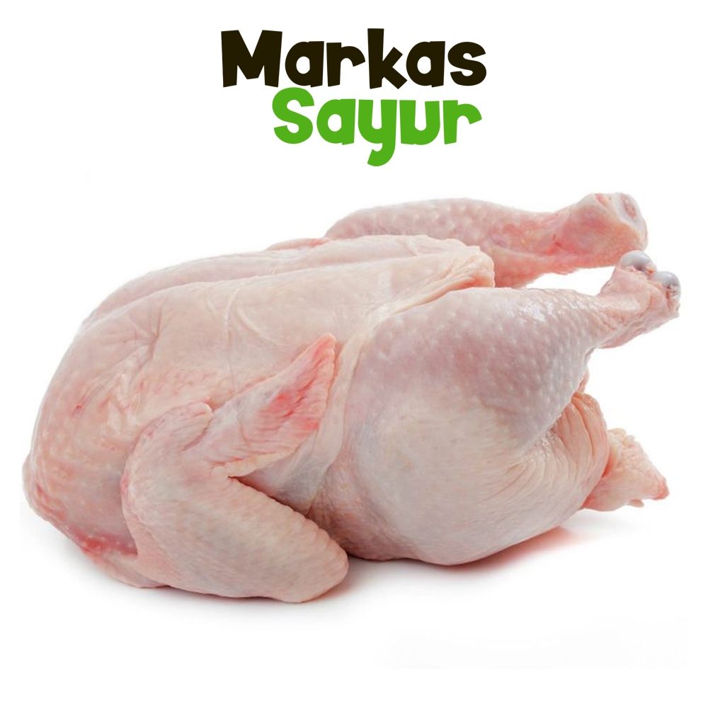

Daging Ayam Utuh Fresh - Markas Sayur