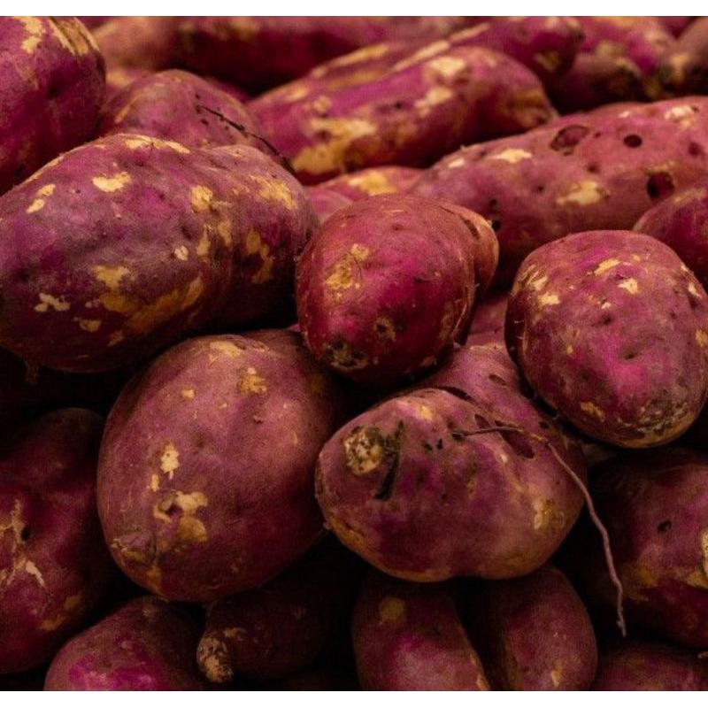 

ubi merah segar 500gr