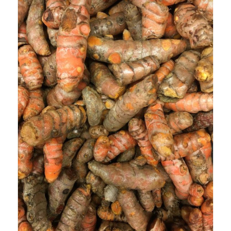 

kunyit panjang segar 250gr