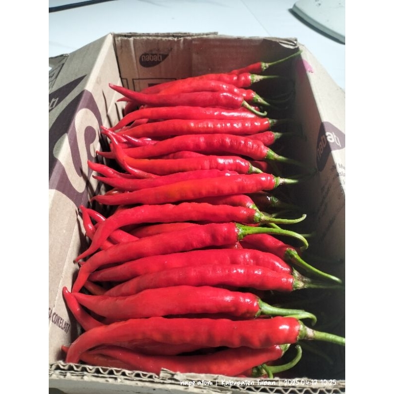 

Cabe Merah Besar 1kg