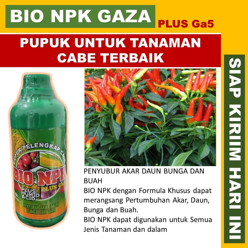 BIO NPK GAZA Pupuk Organik Cair untu Tanaman Cabe - pupuk perangsang buah lebat untuk cabe - obat ca