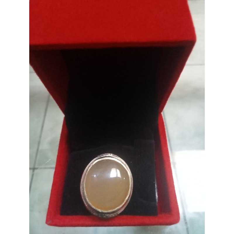 Cempaka kuning bulat