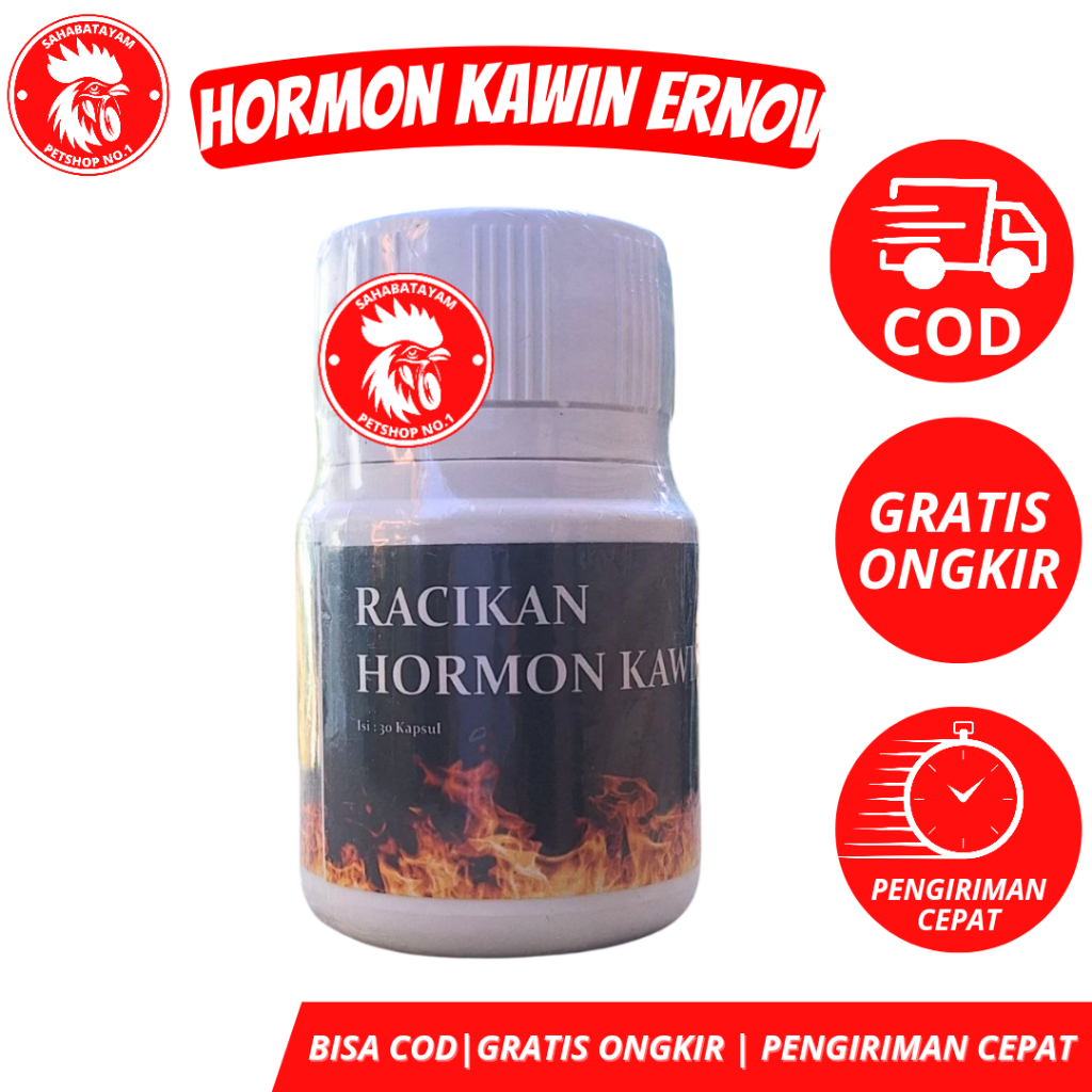 Obat Ayam ERNOV Hormon Kawin Ayam Bangkok Aduan Obat Hormon Hewan Peliharan Racikan Hormon Kawin Aya