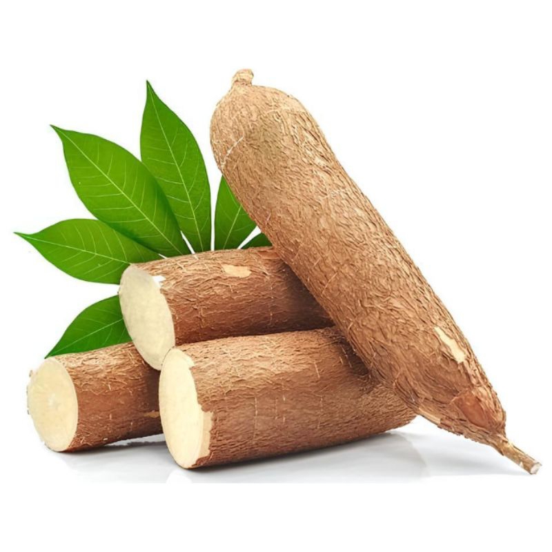 

Ubi Singkong Segar 1 KG