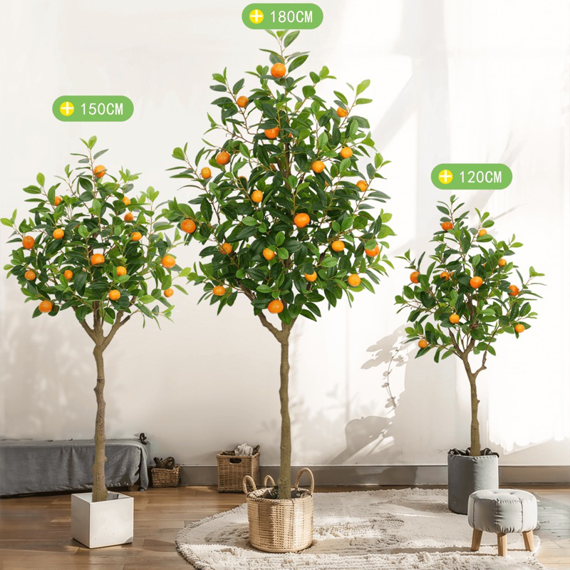Pohon Jeruk Palsu Tanaman Hias Artificial Tinggi Dekorasi Ruangan Pohon Plastik Hiasan Ruang Tamu B5