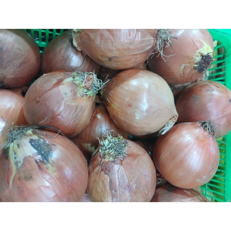 

bawang bombay