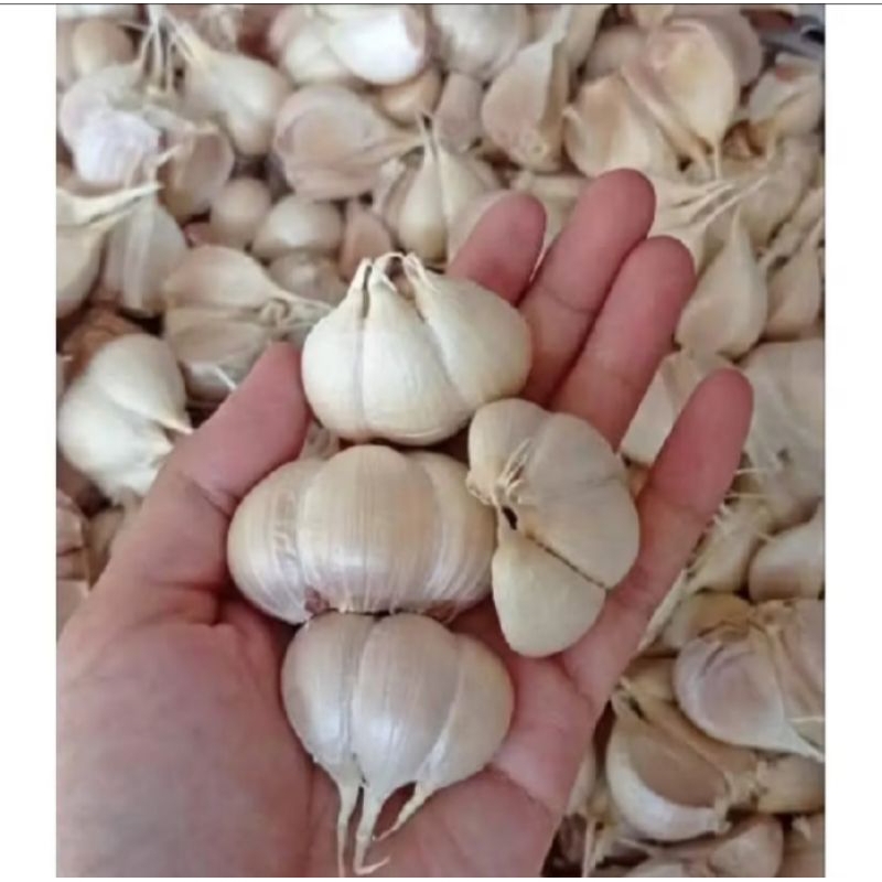 

Bawang putih kating bersih 1kg