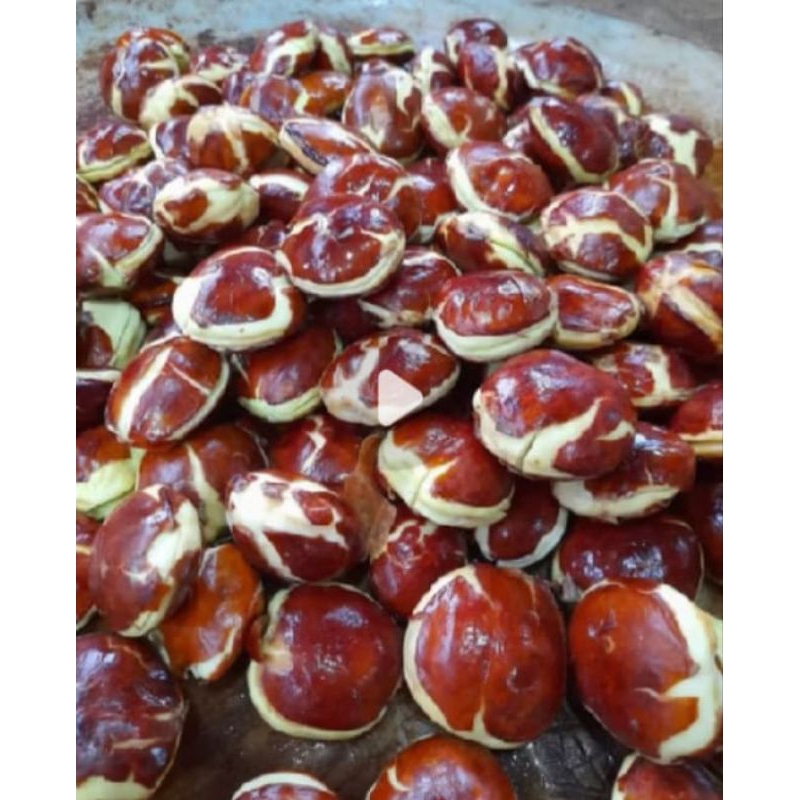 

PROMO !!!! Jngkol tua sufer fresh 1kg sufer tua COD termurah