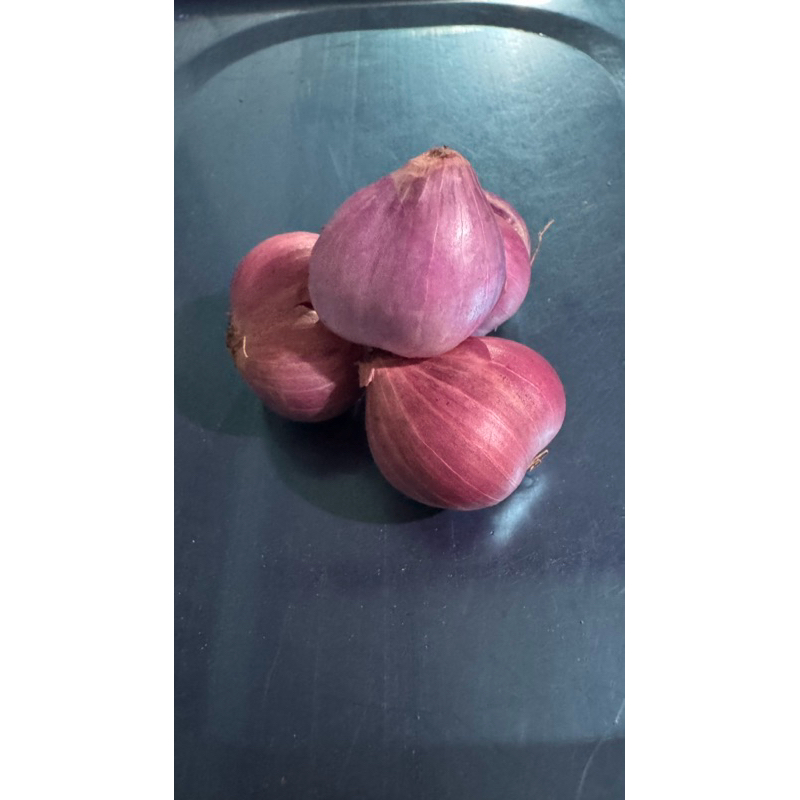 

Bawang Merah Enrekang Sulawesi Murah GROSIR & ECERAN | Uk. Besar