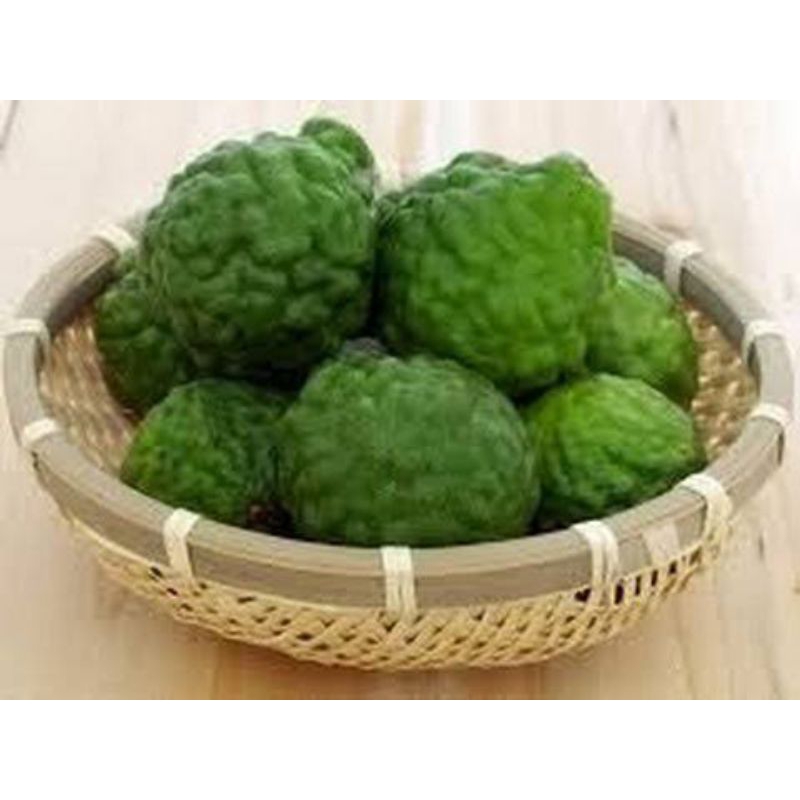 

Jeruk Purut Segar 1kg / Purut segar / Herbal / Bumbu dapur