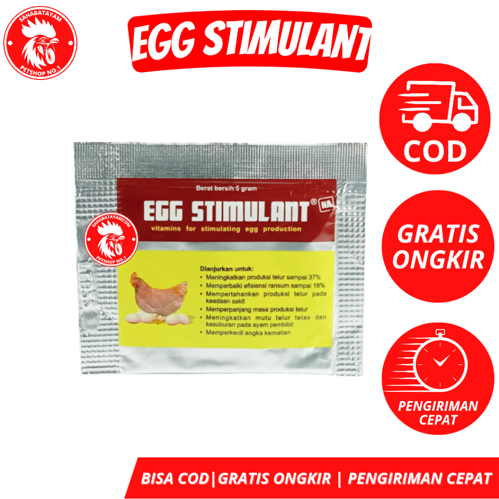 Egg Stimulant Memperbanyak Produksi Telur Ayam