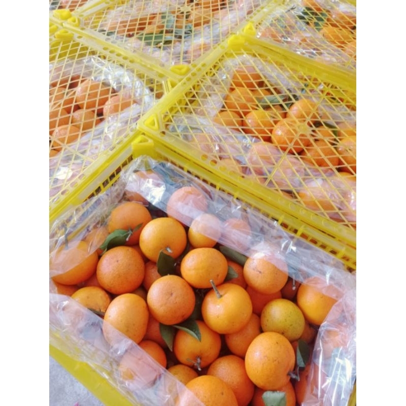 

Jeruk Mini Wogam 6 kg