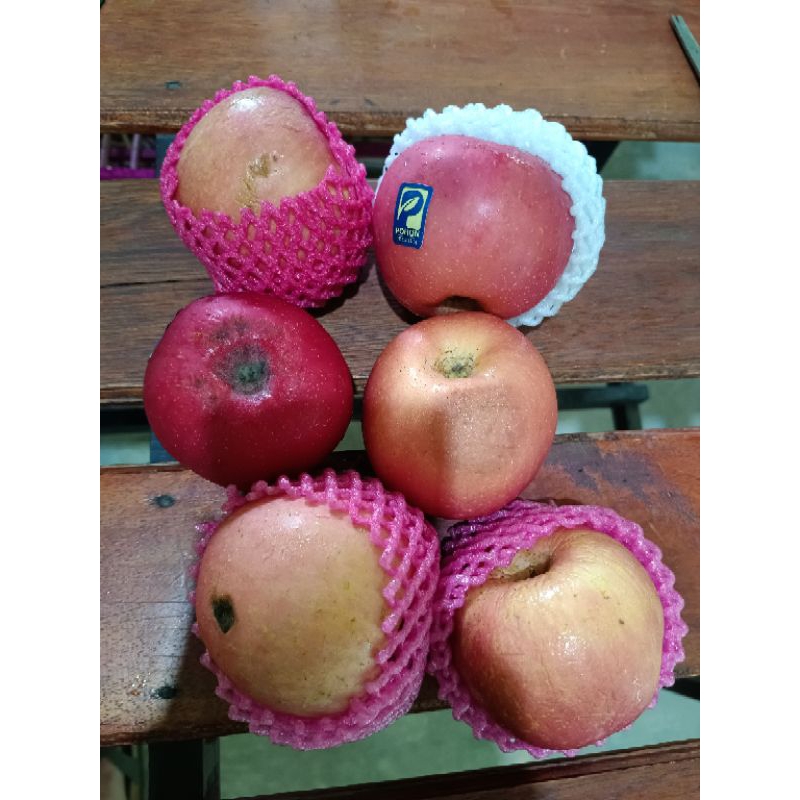 

Apel BS isi 3 pcs sisa sortiran