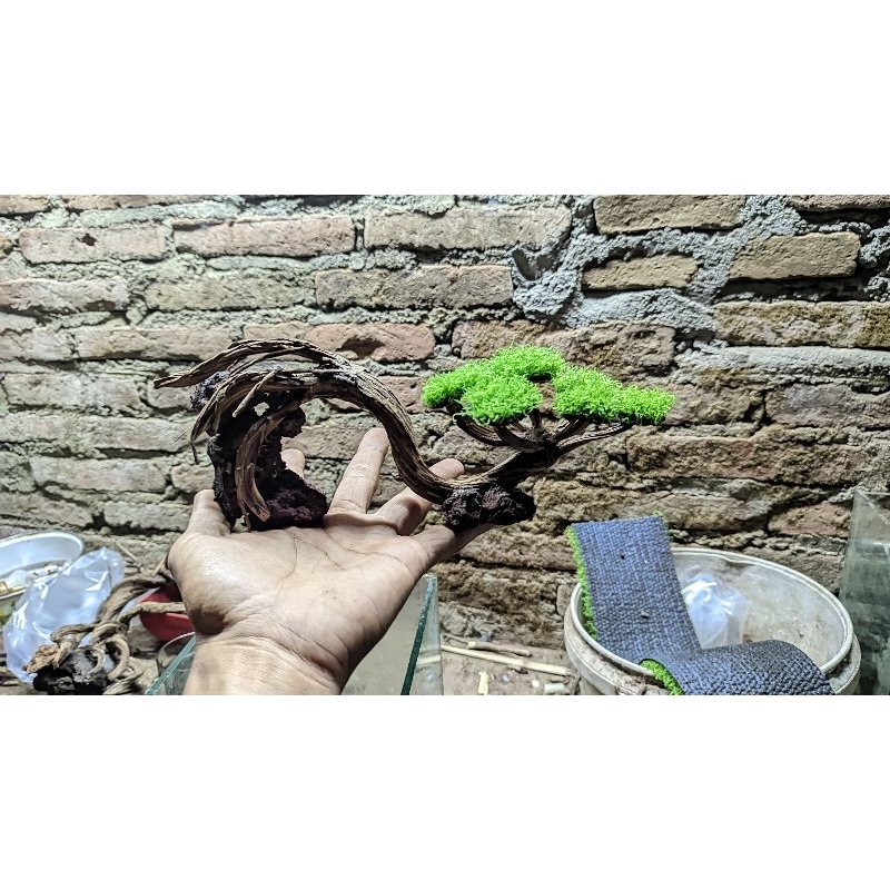 Bonsai lengkung mini hiasan aquarium