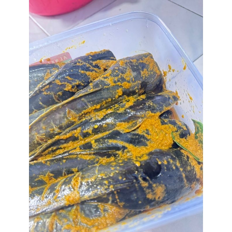 

IKAN LELE BUMBU KUNING ISI 4