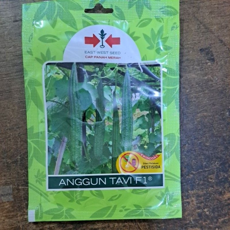Benih Bibit Oyong / Gambas Anggun Tavi F1 isi 20btr