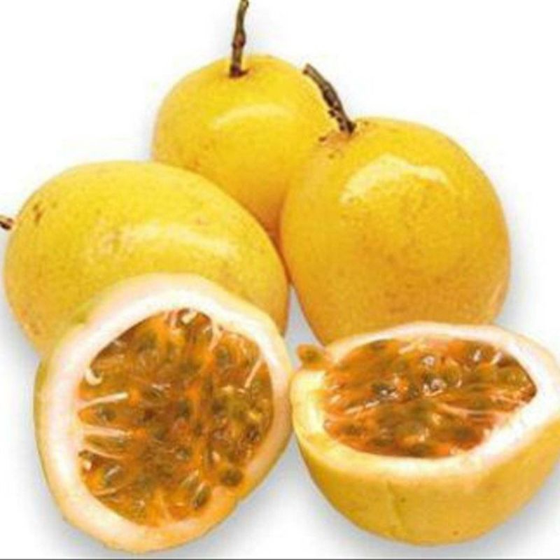 

TERMURAH BUAH MARKISA SEGAR (FRESH) 1KG