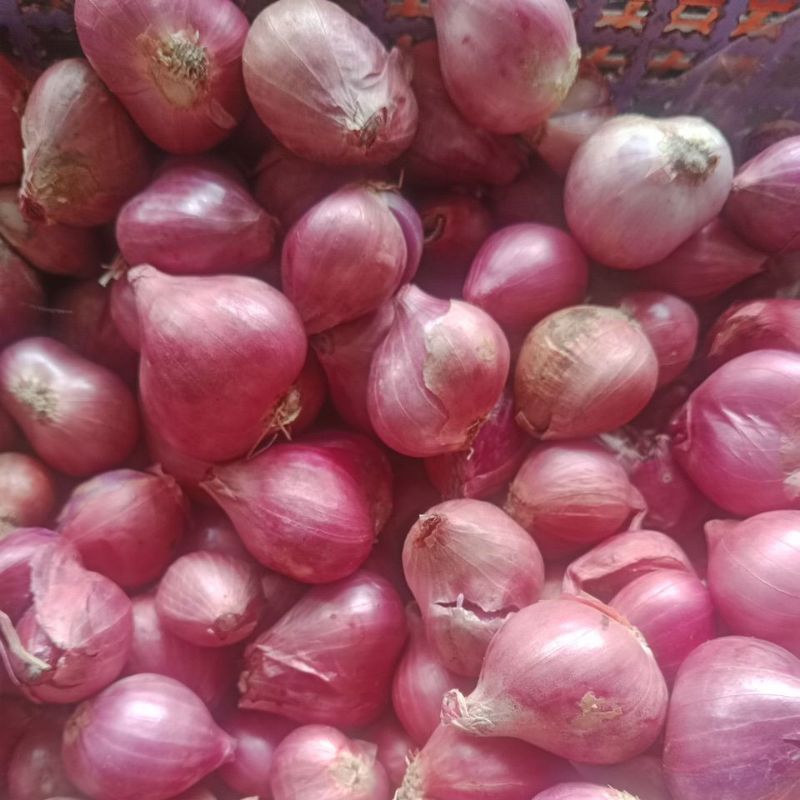 

Bawangmerah