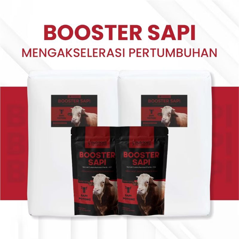 Booster Sapi | Premix Mineral untuk Ternak Sapi