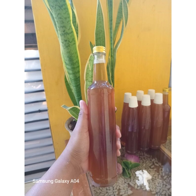 

madu lebah dorsata