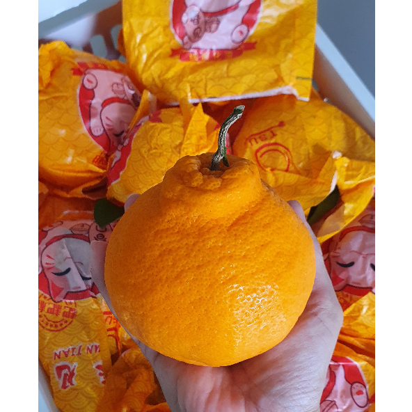 

Jeruk Papagan/ Jeruk Dekopon Segar Manis 1kg