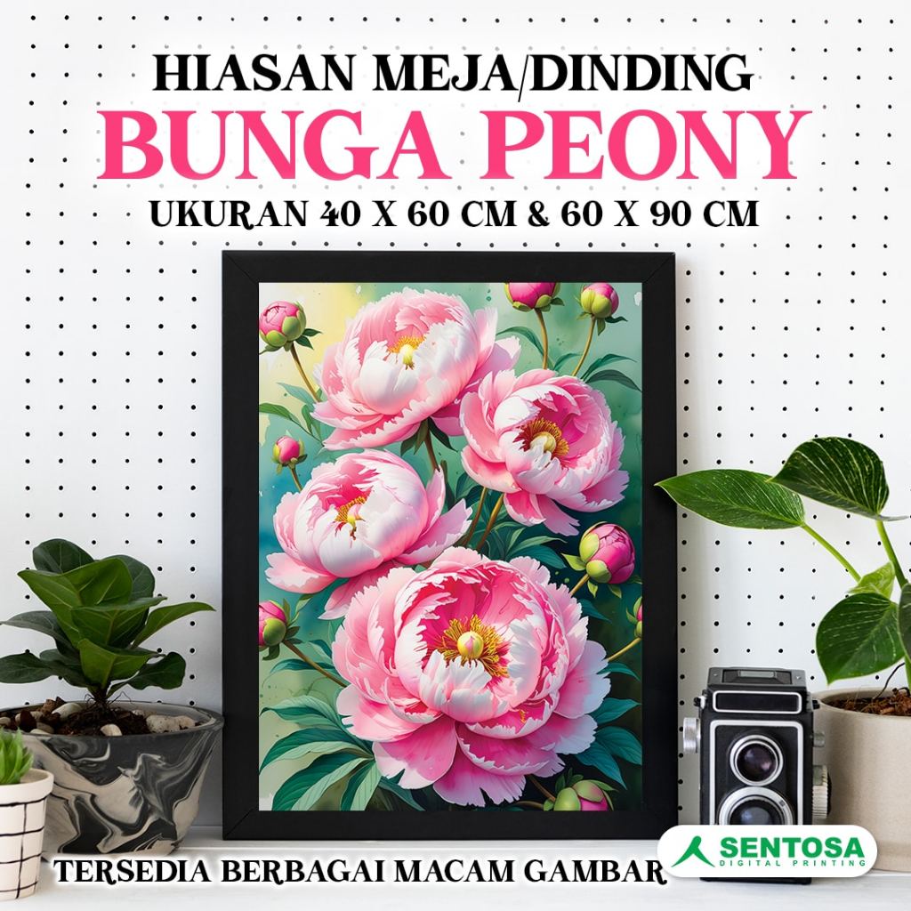 GAMBAR BUNGA PEONY/POSTER BUNGA PEONY/LUKISAN BUNGA PEONY