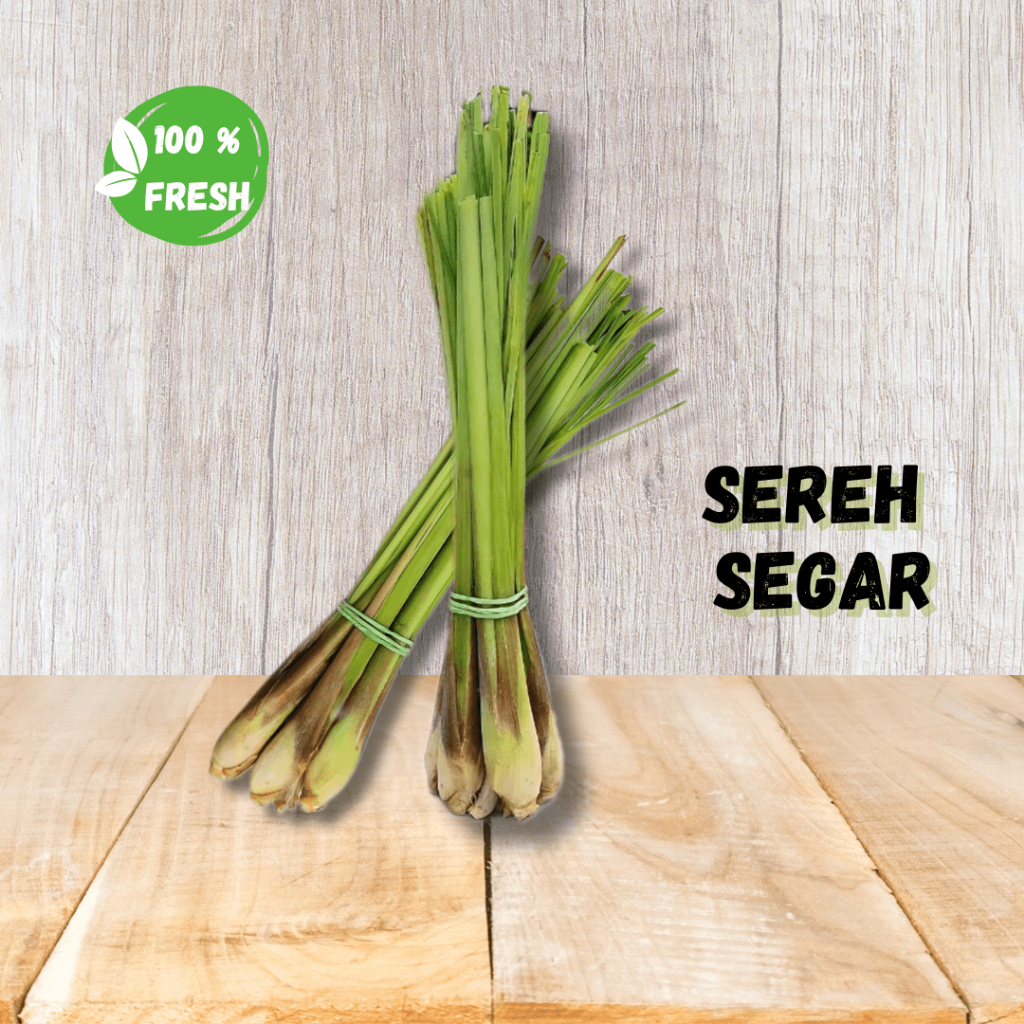 

Sereh / Serai Segar 1 Kg – Serai Herbal Segar untuk Masakan & Kesehatan