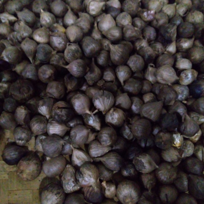 

Bawang Hitam Lanang Tunggal 1kg