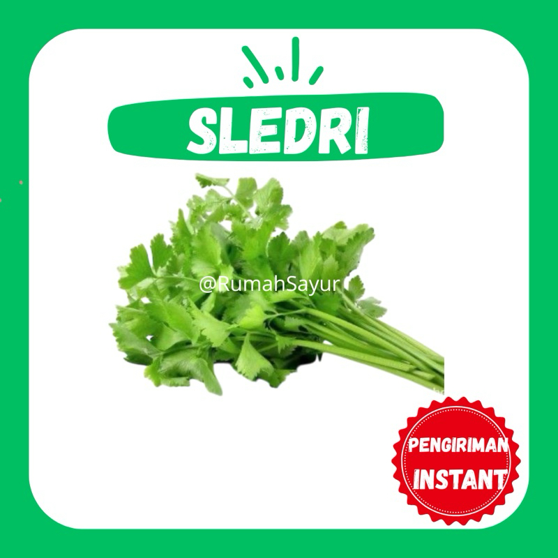 

[KIRIM INSTANT] SELEDRI 50gr - RUMAH SAYUR