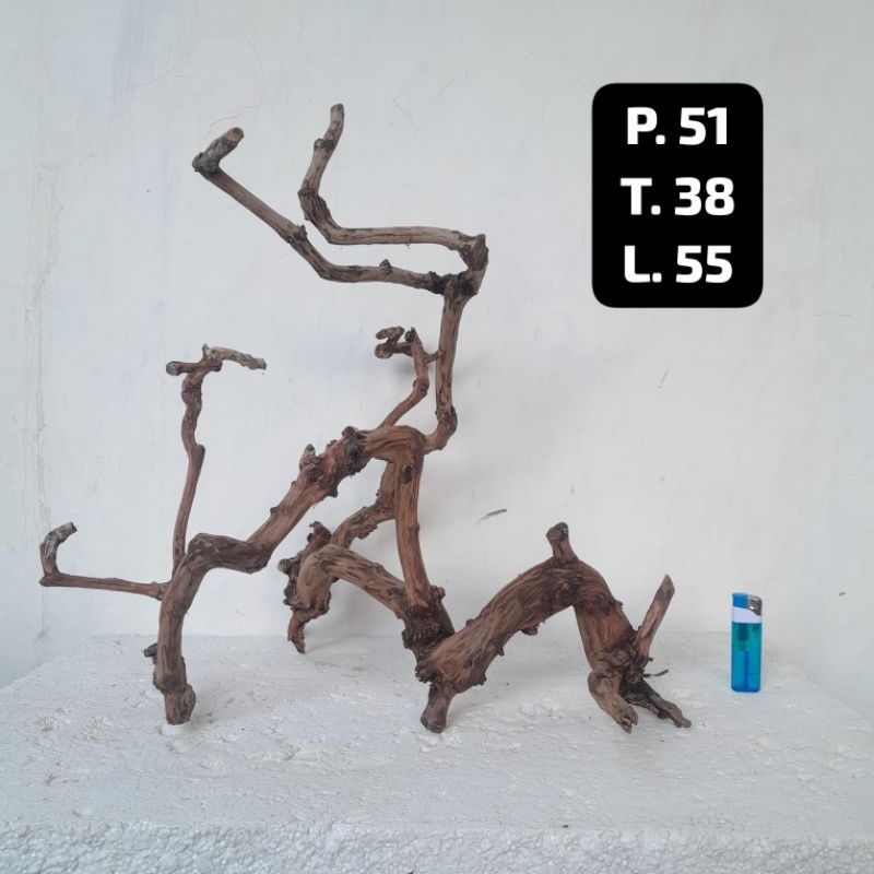 Kayu Aquascape - Kayu Santigi