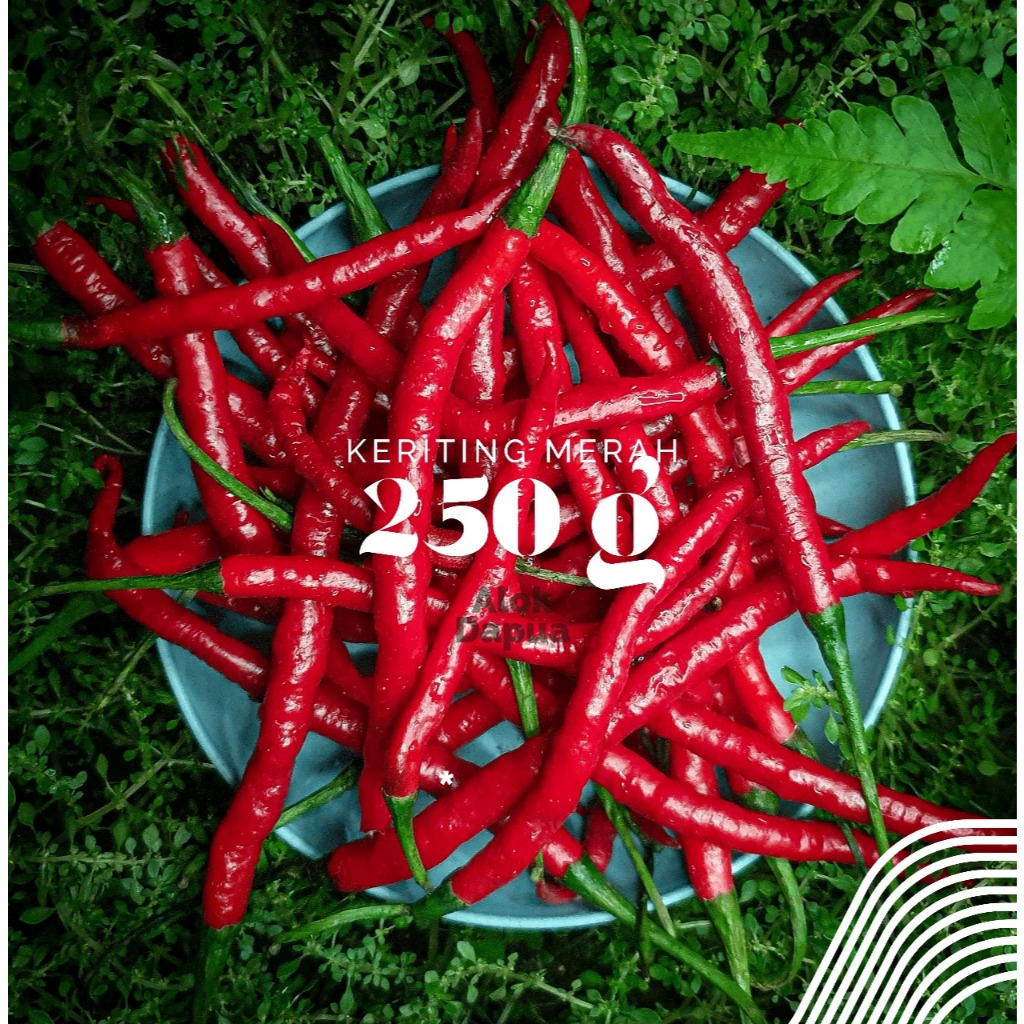 

cabe merah keriting 100gr, 250gr, 500gr