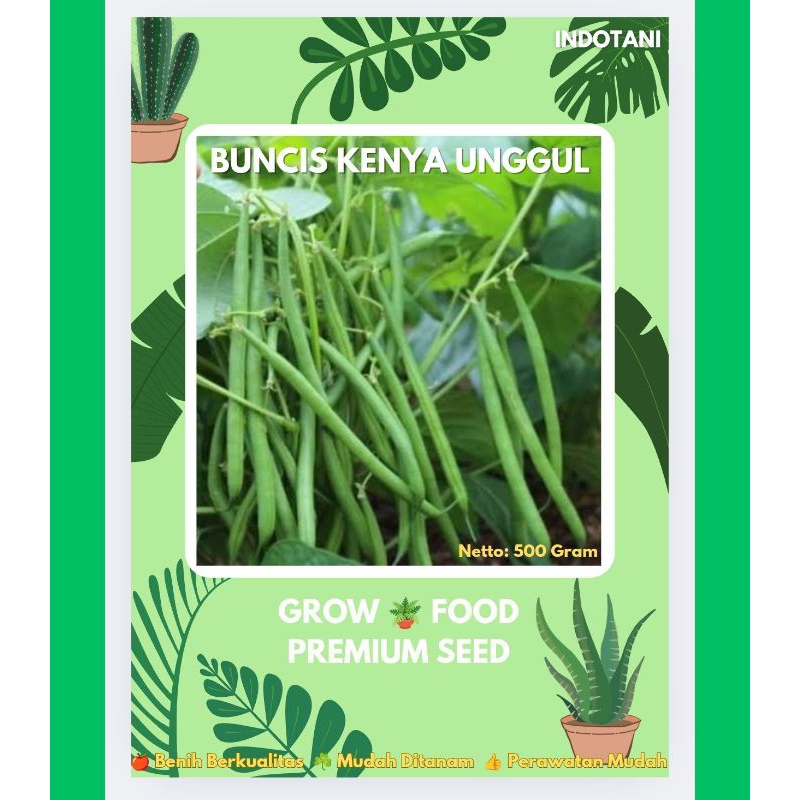 INDOTANI_ Benih Buncis Unggul Indotani / Benih Bibit Buncis Kenya / Benih Buncis Lebat / Benih Bunci