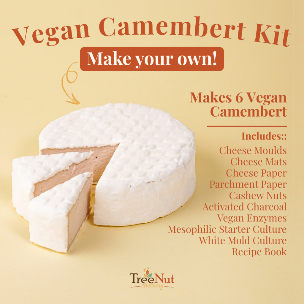 

DIY Vegan Cheese Camembert Kit – Buat Keju Nabati Artisan Sendiri di Rumah | TreeNut Cheezery