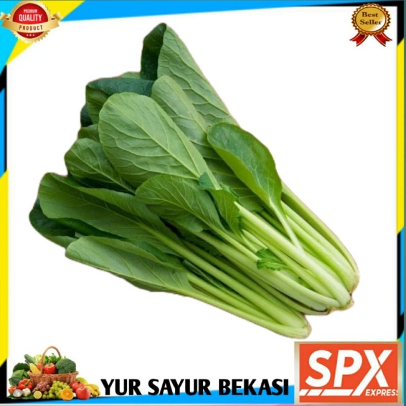

Sawi Ceisin/Sawi Hijau Segar 250gr