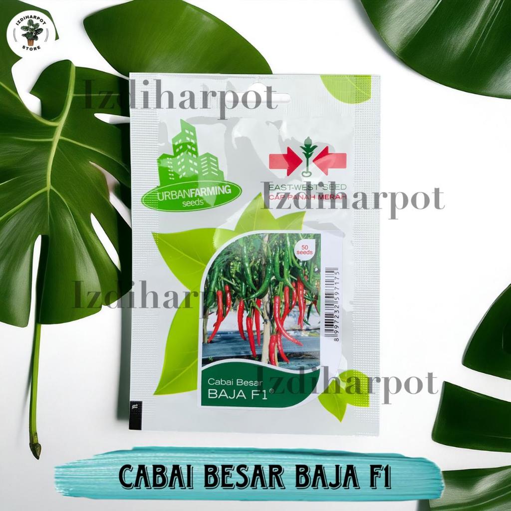 Benih Bibit Cabe Besar Baja F1 Cap Panah Merah - CABAI BESAR BAJA F1 EAST WEST SEED
