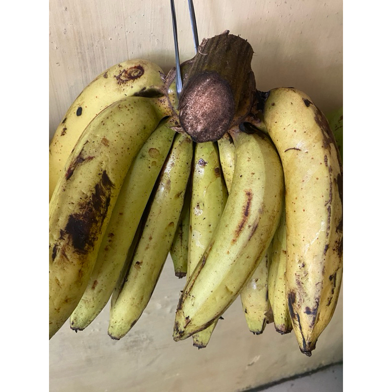 

pisang ambon 1 sisir isi 10-12biji