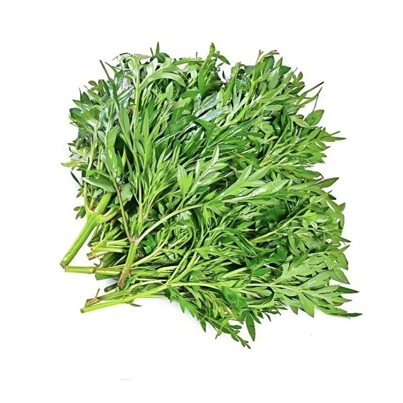 

Daun Kenikir Tespong 1 Ikat