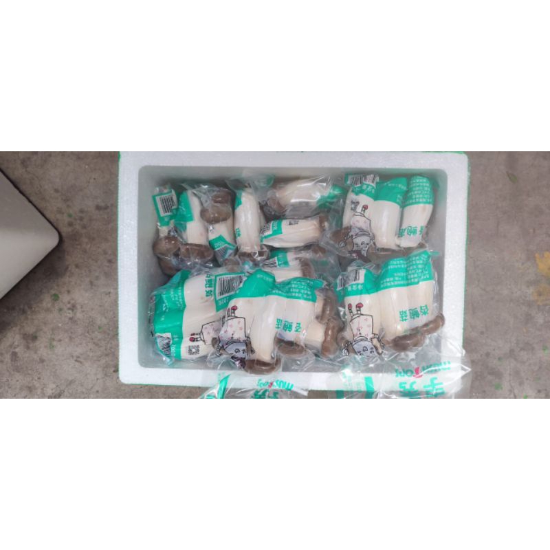 

Jamur King Oyster 200gr