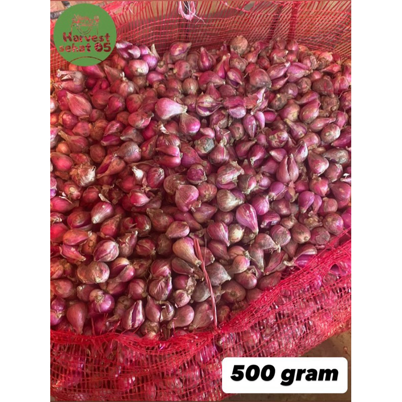 

Bawang Merah Brebes 500 gram Asli 100%