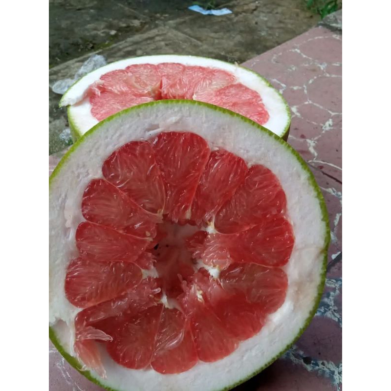 

jeruk pamelo madu muria berat 1,5 kg