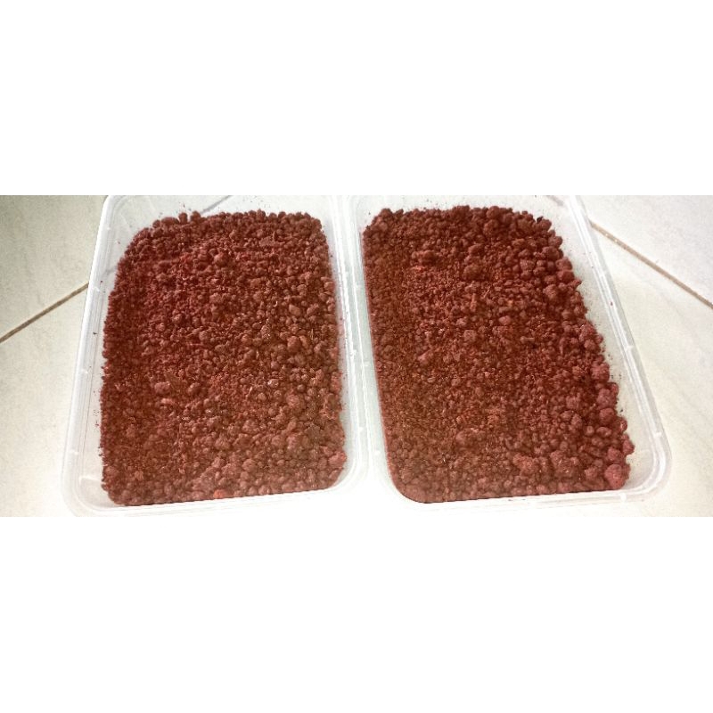 

TerasiSangraiKukusMatang
