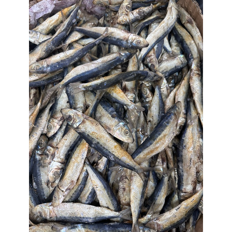 

Japuh belitung Besar 250gram 500gram