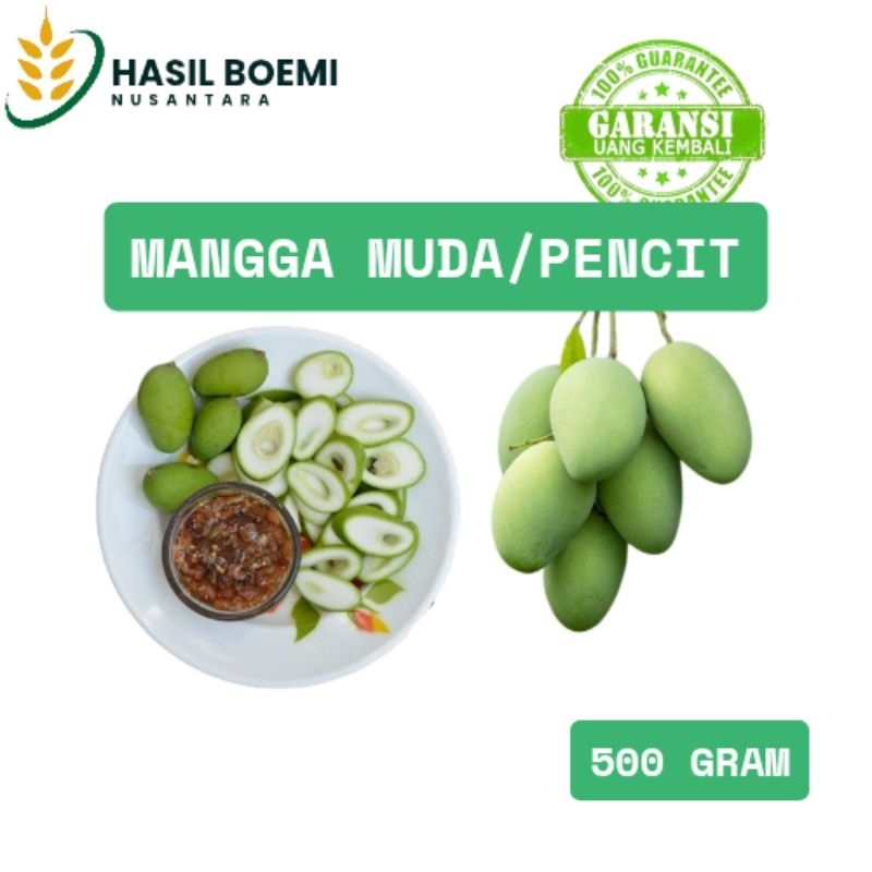 Mangga Muda Manalagi 500 Gram/Mangga Rujak Pencit