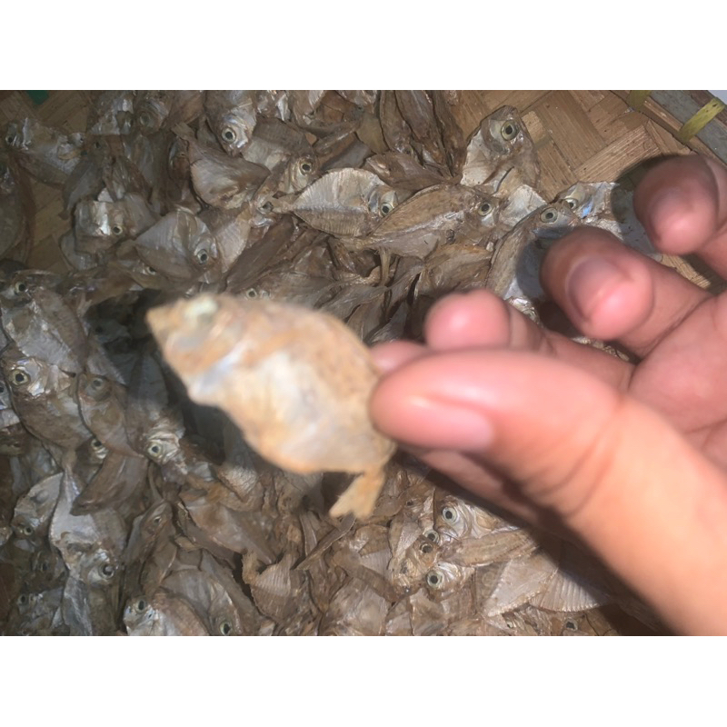 

ikan asin petek kecil atau buyer 500 gram