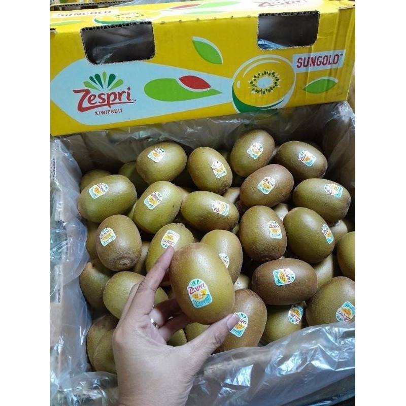 

kiwi zespri sungold new zealand size 18/kg