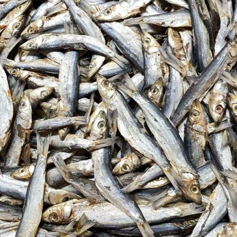 

IKAN JAPUH IKAN ASIN [IKAN ASIN AZIZAH]
