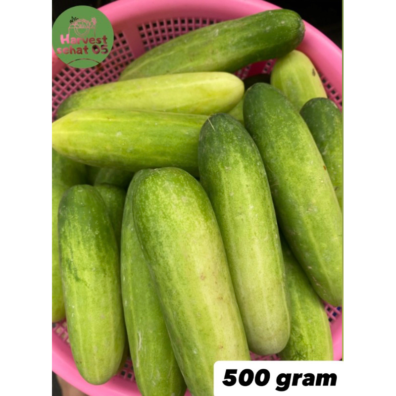 

Timun Fresh Segar 500 gram Asli 100%