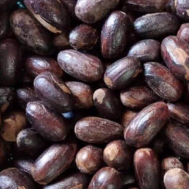 

BIJI PALA/1kg/BIJI PALA LONJONG KWALITAS SUPER/ kocak Lonjong / Nutmeg /Biji Pala utuh ada kulit